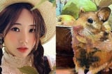 Tài vận thăng thiên: 4 tuổi chuột rơi chĩnh gạo giàu có năm 2023, 1 tuổi đen đủi đủ bề