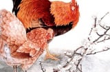 4 tuổi là con cưng nhà Phật, năm 2023 thăng hoa trong sự nghiệp, tài lộc tự chảy vào túi