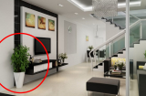 Các cụ dạy: Trong nhà có 3 thứ sinh sôi, tài lộc dồi dào, gia đạo hưng thịnh