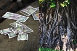 Cuối năm ra đường thấy 4 đồ vật này không nên nhặt về kẻo vận xui đeo bám, thất thoát tài lộc
