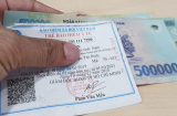 12 trường hợp không được hưởng bảo hiểm y tế dù đi khám đúng tuyến