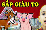 Đúng mùng 1 Tết: 4 tuổi phúc khí đầy nhà, tài lộc vô biên, ung dung vẫn có của ăn của để