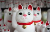 7 dấu hiệu thông báo điềm lành sắp đến trong năm mới, công danh, tình duyên thịnh vượng
