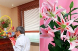 Mua hoa ban thờ ngày Tết có '3 loại Rước Lộc 1 loại Ly Tán': Nhiều nhà không biết vẫn hay chưng
