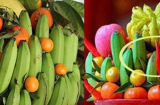 Những loại quả Tán Lộc trên ban thờ ngày Tết phải đặc biệt kiêng kỵ nếu không nghèo khó, tai ương tự tìm đến