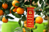 Năm mới trong nhà có 7 điềm báo này là dấu hiệu Thần Tài ghé thăm, cả năm may mắn, tiền vào như nước