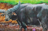 Phật Quan Âm độ mạng: 4 tuổi không cầu danh lộc nhưng tiền tài tự đến, về già giàu sụ