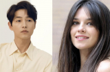Song Joong Ki thông báo kết hôn với bạn gái Tây, chuẩn bị đón con đầu lòng