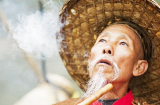 Tổ Tiên dặn kỹ: 'Không tiền không đâm đầu vào 3 việc, khó khăn không tơ tưởng 3 người'