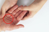 Lòng bàn tay có 5 dấu hiệu này, dù nam hay nữ đều là phước lành, hôn nhân viên mãn