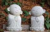 Mọi kiếp nhân sinh ở đời nếu muốn nhận được phúc báo, chỉ cần cố gắng 1 việc duy nhất