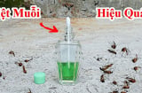 10 cách đuổi kiến ra khỏi nhà vĩnh viễn, hiệu quả mà đơn giản ai cũng làm được