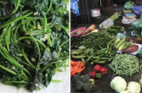 Ra chợ thấy 5 loại rau này nhớ mua ngay: Vừa ngon lại bổ dưỡng, không bị phun thuốc