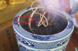 Bát hương nhà ai có 6 dấu hiệu này, cứ cố giữ lại thì ngày lụi bại tới rất gần