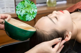 Gội đầu 1 tuần bằng lá ngải cứu đun sôi nhận lại được 4 lợi ích đặc biệt, từ ngoại hình đến sức khỏe