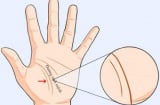 Dù nam hay nữ: Lòng bàn tay có 4 điều này Phúc lớn, Lộc nhiều không thành tỷ phú cũng tiêu tiền thả ga