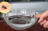 Trước khi đi ngủ đặt bát nước này trong phòng, muỗi không dám lại gần, cả nhà yên tâm ngủ ngon
