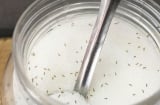  5 cách đuổi sạch kiến ra khỏi lọ đường nhanh chóng, hiệu quả