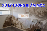 Tường bị nấm mốc, lau chùi mãi ko sạch: Dùng cách này tường sạch bong như mới chỉ trong ít phút