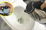 Nhân viên khách sạn khuyên nên dội nước sôi vào bồn cầu ngay khi nhận phòng vì lý do đặc biệt này