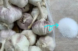 Bảo quản tỏi theo cách này, để cả năm không thối hỏng hay mọc mầm, giữ nguyên dưỡng chất