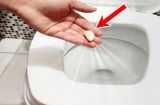 Lấy 1 tép tỏi thả vào bồn cầu: Công dụng tuyệt vời ai cũng muốn học theo