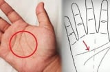 Chỉ cần có đường vân này trong lòng bàn tay bạn không chỉ giàu có mà còn có quyền lực, phú quý, phát tài