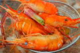 Luộc tôm cứ dùng loại nước này, thịt mềm ngọt không bị teo, không tanh, con nào con nấy đỏ au