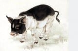 Thời Vàng son đến: 4 tuổi ăn nên làm ra chính thức hết khổ trong 5 ngày tới