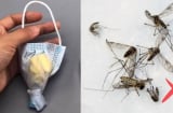 Treo nắm lá này ở cửa sổ, muỗi nhiều mấy cũng bay sạch: Hiệu quả mà cực kỳ an toàn