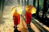 Sống ở đời, ít nói 3 điều này thì phúc khí ngày càng nhiều, tai họa tự tránh xa