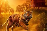 Tổ Tiên nhắc nhở: 'Tam chủng họa' đừng treo trong nhà kẻo con cháu tai ương, làm ăn cực khó