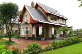 Quanh nhà có 5 cây này không phá gia cũng mất lộc, gia chủ nhất định phải cẩn trọng