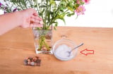 Hoa tươi rất ưa loại gia vị này: Hòa vài thìa vào nước trước khi cắm, hoa để cả tháng vẫn rực rỡ