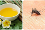 Trời nóng ẩm nhiều muỗi dĩn: Đặt bát nước này trong phòng ngủ, đuổi cả đàn muỗi ra khỏi nhà an tâm ngủ ngon