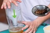 Cho dầu ăn vào chai nhựa rỗng rồi để vào góc khuất: Điều kỳ diệu xảy ra sau 1 đêm