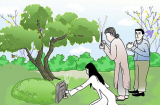 Vì sao người xưa nói: Con gái không tảo mộ cha mẹ đẻ trong lễ Thanh Minh?