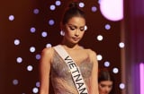 Hoa hậu Ngọc Châu thừa nhận đã bị buộc thôi học, không thể tốt nghiệp Đại học