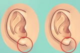 5 nét tướng chỉ xuất hiện trên gương mặt người có phúc, sự nghiệp thăng hoa, tiền tài rủng rỉnh, ngồi không cũng giàu