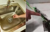 Bồn rửa bát bị tắc nghẽn, đừng vội gọi thợ dùng chai nhựa đặt vào là thông tắc ngay không tốn một xu
