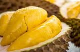 Những người tuyệt đối không nên ăn sầu riêng