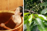 4 loại lá càng dùng Sh88bet đăng ký miễn phí càng thơm ngát: Chị em không cần dùng nước hoa vẫn hết mùi hôi