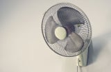 Đừng ham quạt 5 cánh hay 4 cánh: Đây mới là số cánh thích hợp nhất, vừa mát lại tiết kiệm điện