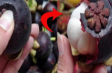 Măng cụt có 2 điểm, chỉ cần ấn nhẹ vào là vỏ tách ra ngay lập tức, không cần dùng dao gọt