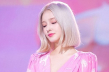 7 mỹ nhân Hàn sở hữu chiếc mũi đẹp xuất sắc khiến ai nhìn vào cũng phải 'mê mệt'