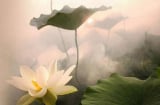 Muốn trở thành người cực kỳ may mắn, làm gì cũng suôn sẻ, trước hết hãy làm tốt 3 chuyện này