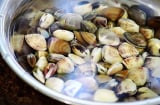 Ngâm ngao đừng chỉ cho ớt, chỉ bạn 3 tuyệt chiêu giúp ngao nhả cát vừa nhanh vừa sạch