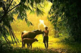 Về già, đạt được được 3 điều này là đã đủ viên mãn, cuộc đời đắt lắm, đừng quá tham lam
