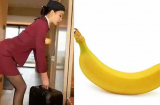 Tại sao tiếp viên hàng không thích mang một quả chuối lên máy bay? Hóa ra là để làm 1 việc