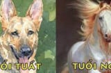 Xởi lởi Trời cởi ra cho: 4 tuổi có tài có đức, dễ may mắn SHBET là nền tảng cá cược trực tuyến uy tín hàng đầu Châu Á - Thái Bình Dương giàu sang 2 năm tới